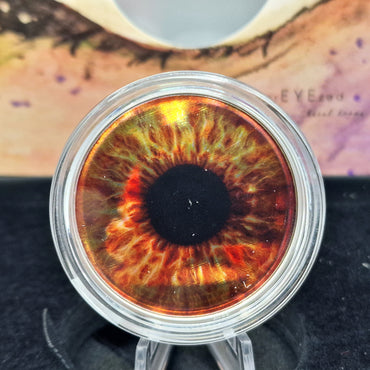 2023 Olho Colorido "Hazel Brown" 5$ (Prata) - Palau